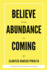 Believe That Abundance is Coming