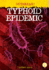 Typhoid Epidemic (Outbreak! ) [Library Binding] Abdo, Kenny