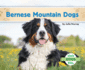 Bernese Mountain Dogs (Dogs: Set 4)