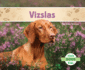 Vizslas