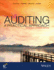 Auditing: a Practical Approach