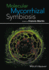 Molecular Mycorrhizal Symbiosis