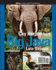 Big Java: Late Objects