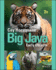 Big Java Early Objects Isv
