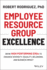 Employee Resource Group Excellence: Grow High Performing Ergs to Enhance Diversity, Equality, Belonging, and Business Impact