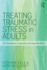 Treating Traumatic Stress in Adults: the Practitioner's Expressive Writing Workbook