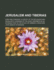 Jerusalem and Tiberias: Sora and Cordova: a Survey of the Religious and Scholastic Learning of the Jews; Designed as an Introduction to the Study of Hebrew Literature
