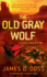 The Old Gray Wolf: a Charlie Moon Mystery (Charlie Moon Mysteries)