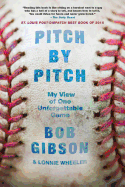 pitch by pitch my view of one unforgettable game