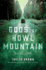 Gods of Howl Mountain: a Novel