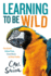 Learning to Be Wild (a Young Reader's Adaptation): How Animals Achieve Peace, Create Beauty, and Raise Families