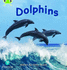 Bug Club Phonics-Phase 5 Unit 13: Dolphins