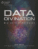 Data Divination: Big Data Strategies