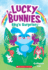 Sky's Surprise (Lucky Bunnies #1) (1)