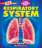 Respiratory System (a True Book: Your Amazing Body) (a True Book (Relaunch))