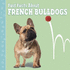 Fast Facts About French Bulldogs (Fast Facts About Dogs)