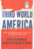 Third World America: How Our Politicians Are Abandoning the Middle Class and Betraying the American Dream