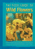 Field Guide to Wildflowers