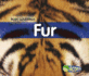 Fur