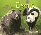 Bears (Creature Comparisons)