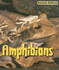 Amphibians (Animal Babies)