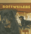 Rottweilers (Tough Dogs)