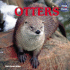 Otters (Paws and Claws)