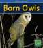 Barn Owls (Read and Learn: What's Awake? )