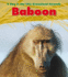 Baboon {{ Baboon }} By Spilsbury, Louise ( Author) Mar-03-2011