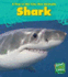 Shark (a Day in the Life: Sea Animals)