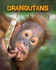 Orangutans (Living in the Wild: Primates)