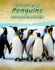 Rookery of Penguins (Animals in Groups)