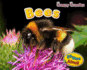 Bees (Creepy Crawlies)