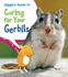 Giggle's Guide to Caring for Your Gerbils (Pets' Guides)