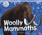 Woolly Mammoths (Pebble Plus: Ice Age Animals)