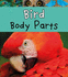 Bird Body Parts (Read and Learn: Animal Body Parts)