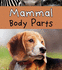 Animal Body Parts, Pack a of 6