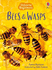 Bees & Wasps (Usborne Beginners) (Beginners Series)