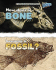 How Does a Bone Become a Fossil? (How Does It Happen)
