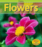 Flowers (Heinemann Read & Learn)