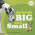 Animals Big and Small (Math Every Day)