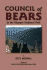 Council of Bears in the Olympic National Park