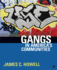 Gangs in America's Communities