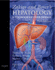 Zakim and Boyer's Hepatology: a Textbook of Liver Disease, 2-Volume Set