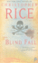 Blind Fall: a Novel