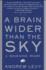 A Brain Wider Than the Sky: a Migraine Diary