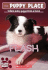 Flash (the Puppy Place #6)