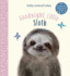 Goodnight, Little Sloth: a Picture Book