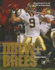 Drew Brees (Superstars of Pro Football)