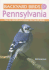 Backyard Birds of Pennsylvania: How to Identify and Attract the Top 25 Birds